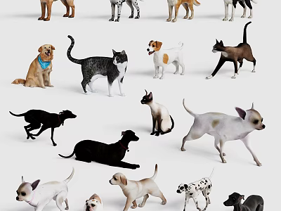 Cute Dogs and Cats of Various Breeds in Playful and Relaxed Poses 3d model