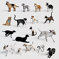 Cute Dogs and Cats of Various Breeds in Playful and Relaxed Poses