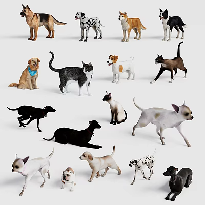 Cute Dogs and Cats of Various Breeds in Playful and Relaxed Poses 3d model