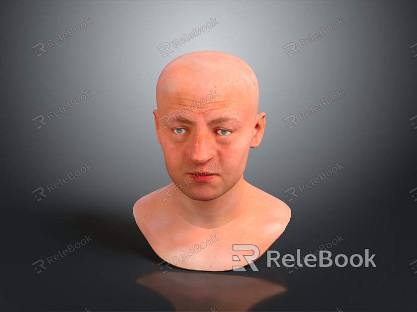 Head Character Portrait Head Various Heads Various Heads Head Carving Head Carving Portrait Face Carving model