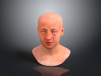 Medical Device Anatomical Human Head Model For Medical Training And Education 3d model