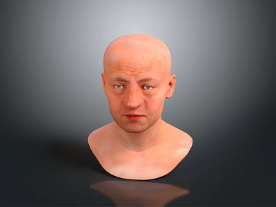 Head Character Portrait Head Various Heads Various Heads Head Carving Head Carving Portrait Face Carving 3d model
