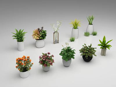 Variety of Bonsai Potted Plants With Different Green And Flowering Species In Decorative Planters 3d model