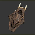 Modern Skull Animal Skull Saber-toothed Tiger Skull Fossils 3d model