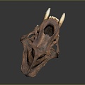 Modern Skull Animal Skull Saber-toothed Tiger Skull Fossils 3d model