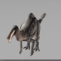 Feathered Dinosaur With Long Beak 3D Rendered Model Isolated On Gray Background 3d model