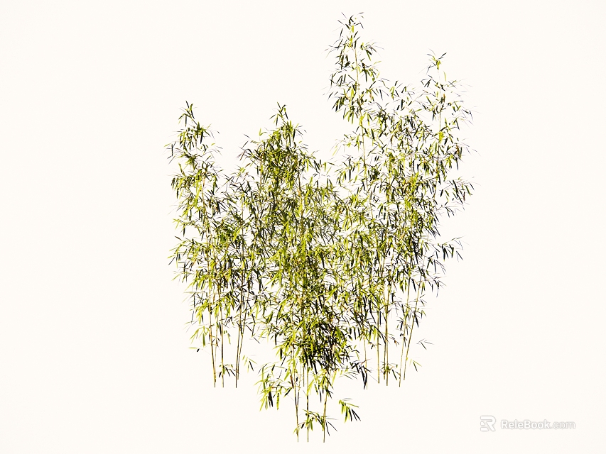 Lush Green Bamboo Plants With Fresh Leaves And Tall Stems In Natural Garden 3d model 