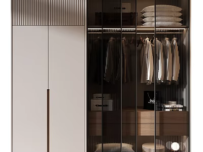 Modern Entryway Cabinet Sideboard With Glass Door Hanging Folded Clothes Storage Drawers And Boxes 3d model