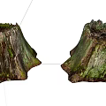 Natural Stone Wood Tree Stumps With Mossy Texture And Rough Surfaces 3d model