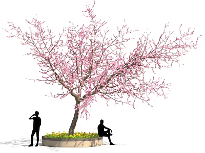 Elegant Pink Blossom Tree with People Standing and Sitting by Yellow Flower Bed 3d model