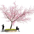 Elegant Pink Blossom Tree with People Standing and Sitting by Yellow Flower Bed