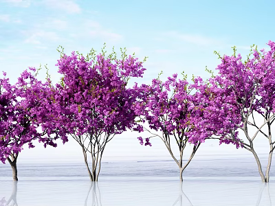 Purple Flowering Trees With Lush Blooms Against Blue Sky And Water Reflection 3d model