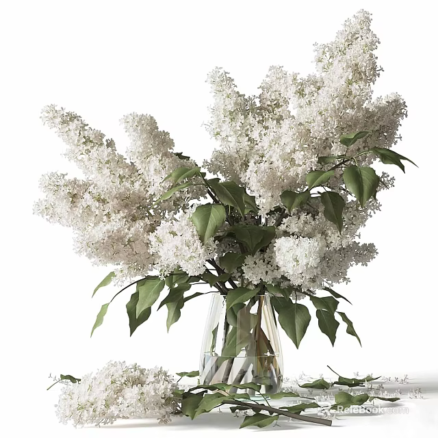 White Lilac Flowers Arranged in Transparent Glass Vase with Green Leaves and Scattered Petals 3d model 