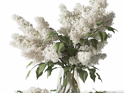 White Lilac Flowers Arranged in Transparent Glass Vase with Green Leaves and Scattered Petals 3d model