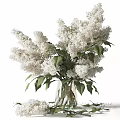 White Lilac Flowers Arranged in Transparent Glass Vase with Green Leaves and Scattered Petals