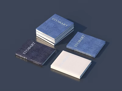 Colorful Standard Books Collection With Blue Dark Blue White Covers Stacked Together 3d model