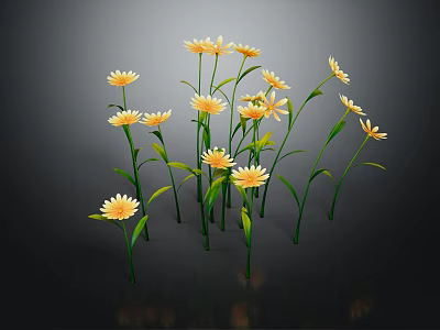 Blooming Yellow Daisies with Green Stems and Leaves on Dark Background 3d model