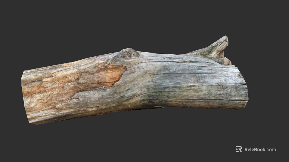 Weathered Tree Trunk With Natural Rough Texture And Aged Wooden Surface 3d model 