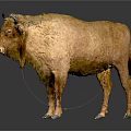 Lifelike Bison Sculpture With Detailed Fur Texture And Standing Pose Design