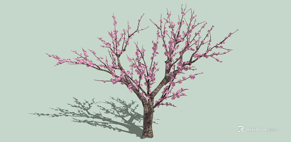 Tall tree with pink blossoms spreading branches and brown trunk in light green scene 3d model 