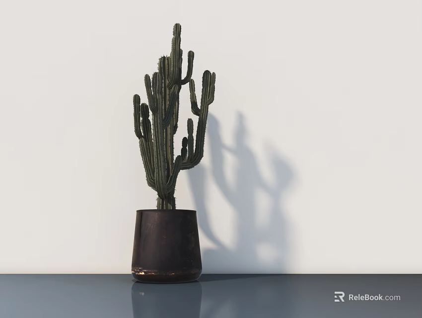 Cactus Bonsai Plant in Brown Pot on Table with White Wall and Shadow 3d model 