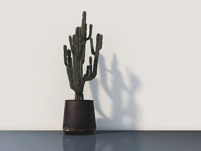 Cactus Bonsai Plant in Brown Pot on Table with White Wall and Shadow 3d model