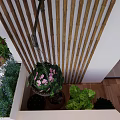 Detached Villa With Wooden Door Courtyard Green Plants And Decorative Lighting