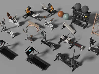 Various Home Gym Fitness Equipment Including Treadmills Dumbbells Exercise Balls And Workout Benches 3d model