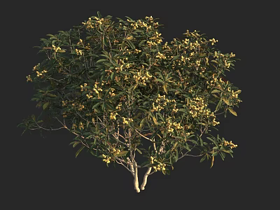 Lush Arbor With Green Leaves And Yellow Flowers In Full Bloom 3d model