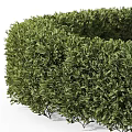 Garden Decor Featuring Small And Large Round Shaped Green Shrubs For Garden Landscaping