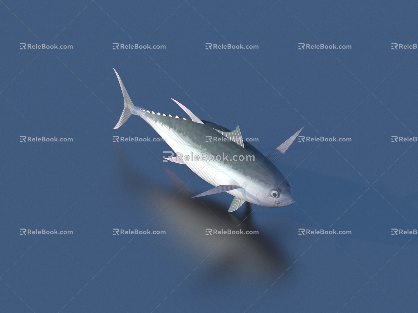 fish freshwater fish aquatic animal 3d model