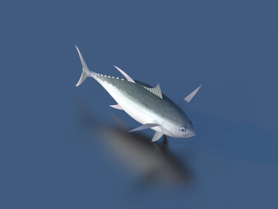 Graceful Silver Fish Swimming in Calm Blue Water With Clear Reflection 3d model