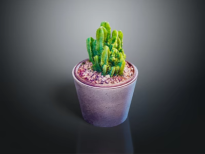 Green Cactus Plant in Purple Pot with Decorative Pebbles on Dark Surface 3d model