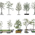 Diverse Tree Pit Designs With Seating Options Various Materials And Shapes 3d model
