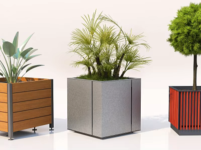 Decorative Bonsai Potted Plants With Different Material Planters Including Wooden Metal And Red Striped Designs 3d model