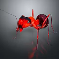 Realistic Red Ant 3D Render With Detailed Head Body And Long Legs