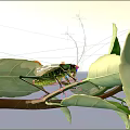 Green grasshopper with long antennae perched on green leaves and branch