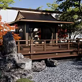 Natural Rockery Stones In Japanese Garden With Red Maple Trees Wooden Deck And Pond
