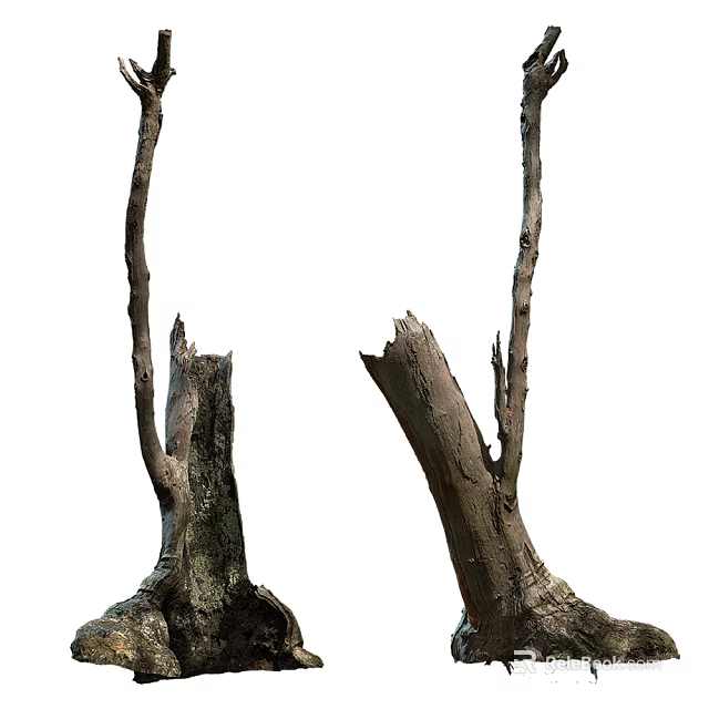 Arbor Stumps With Broken Branches And Natural Trunk Texture 3d model 