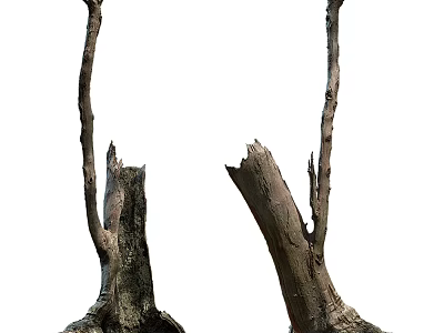Arbor Stumps With Broken Branches And Natural Trunk Texture 3d model