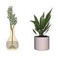 Bonsai Potted Plants in Transparent Glass Vase and White Ceramic Pot with Green Leaves