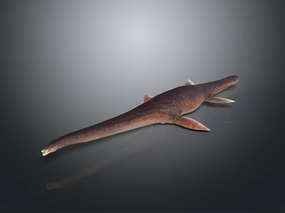 Realistic 3D Model of Aquatic Creature with Long Body and Fins on Dark Background 3d model