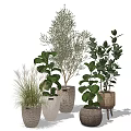Bonsai Potted Plants Collection with Various Green Indoor Decorative Woven and Cloth Planters
