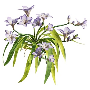 Modern Flower Small Purple Flower 3d model