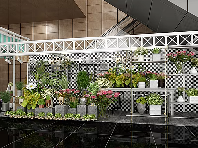 Bonsai Potted Plants Display with Various Greenery on Shelves in Checkered Background and Lighting 3d model