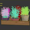 Decorative Potted Green Grass Plants in Wooden Tray with Various Planters