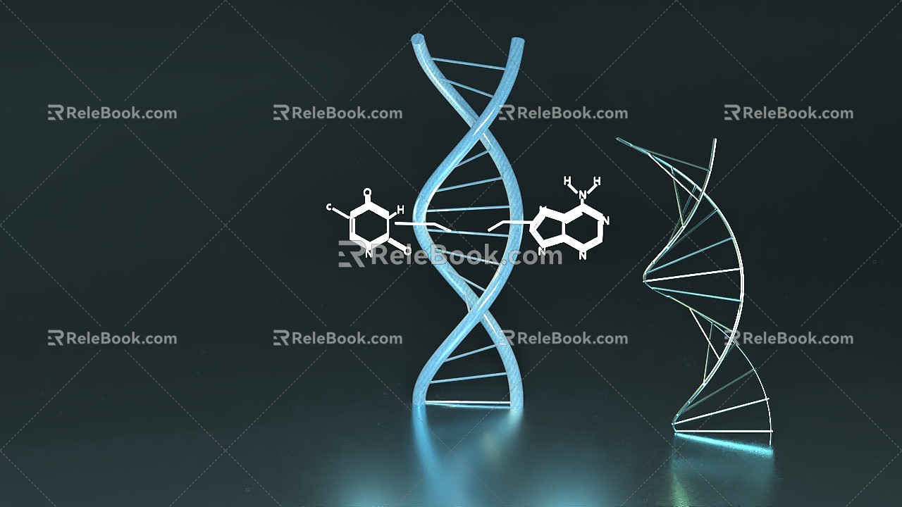 Modern DNA 3d model