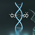 Modern DNA 3d model