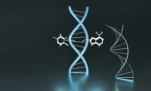 Modern DNA 3d model