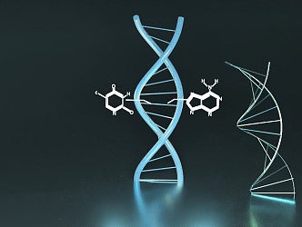 Modern DNA 3d model